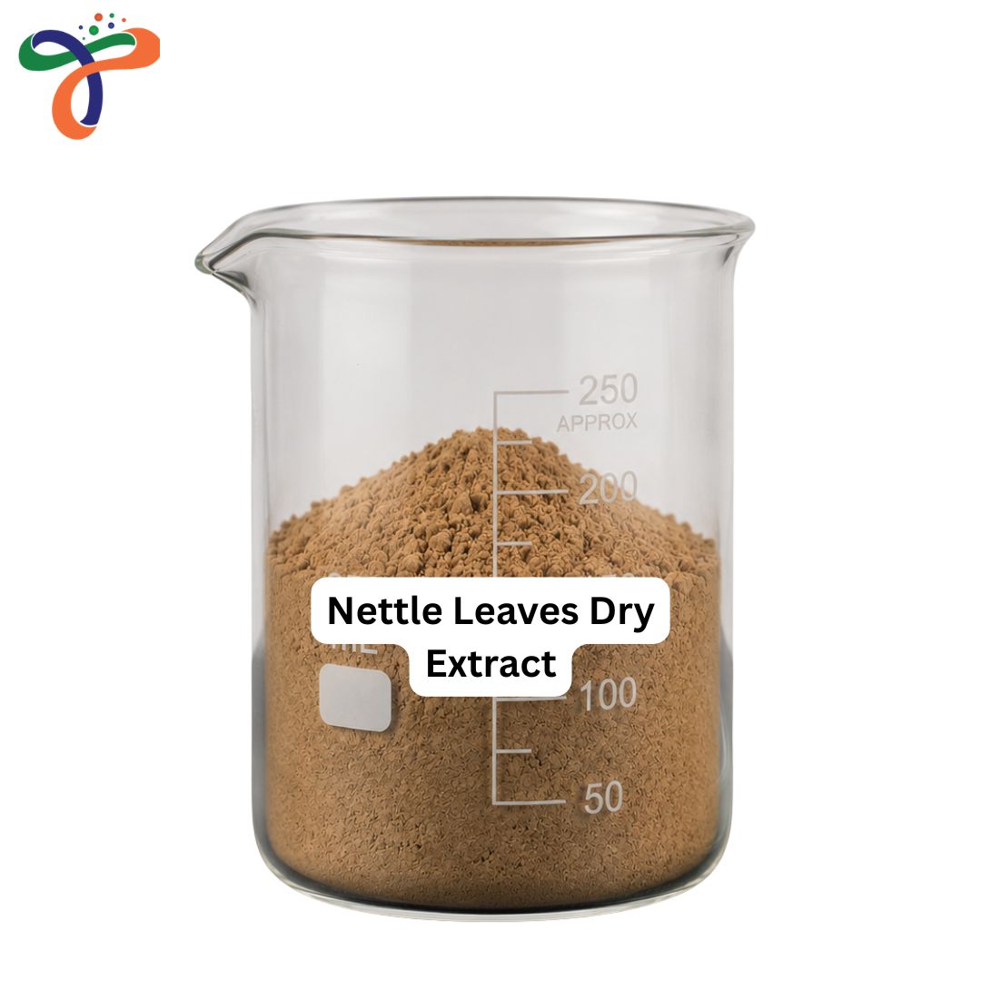 Nettle Leaves Dry Extract